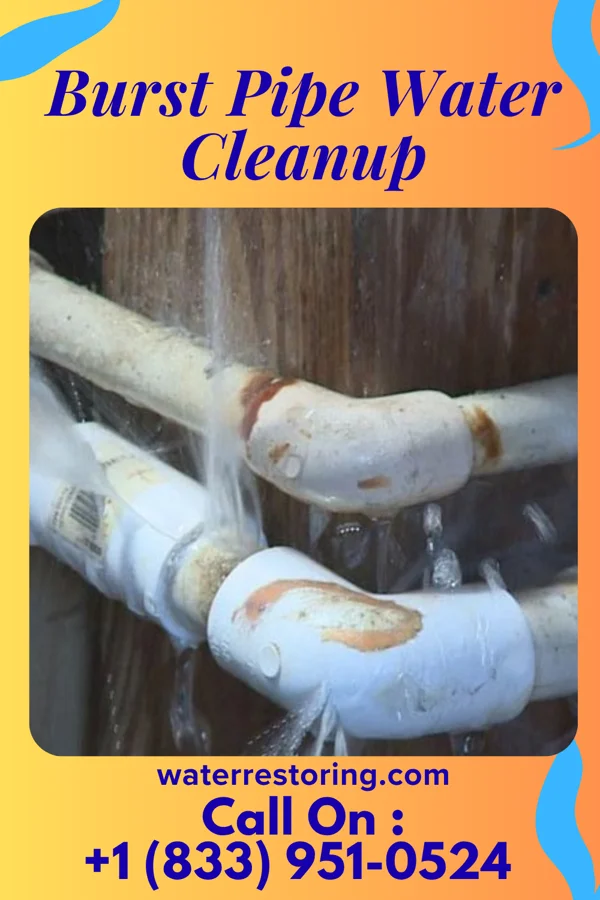 Burst Pipe Water Cleanup in Arendtsville, PA