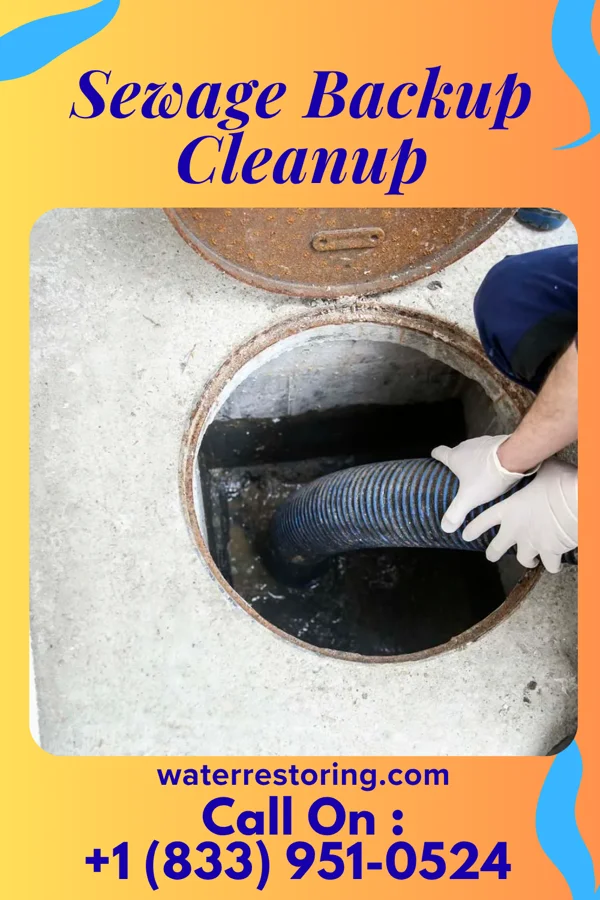 Sewage Backup Cleanup in Arendtsville, PA